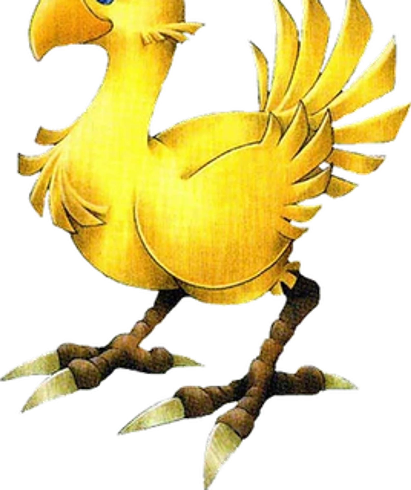 Chocobo's Mystery Dungeon EVERY BUDDY! cover art